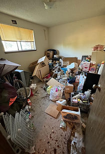 cluttered room filled with boxes, trash, and disorganized items, natural light coming from window