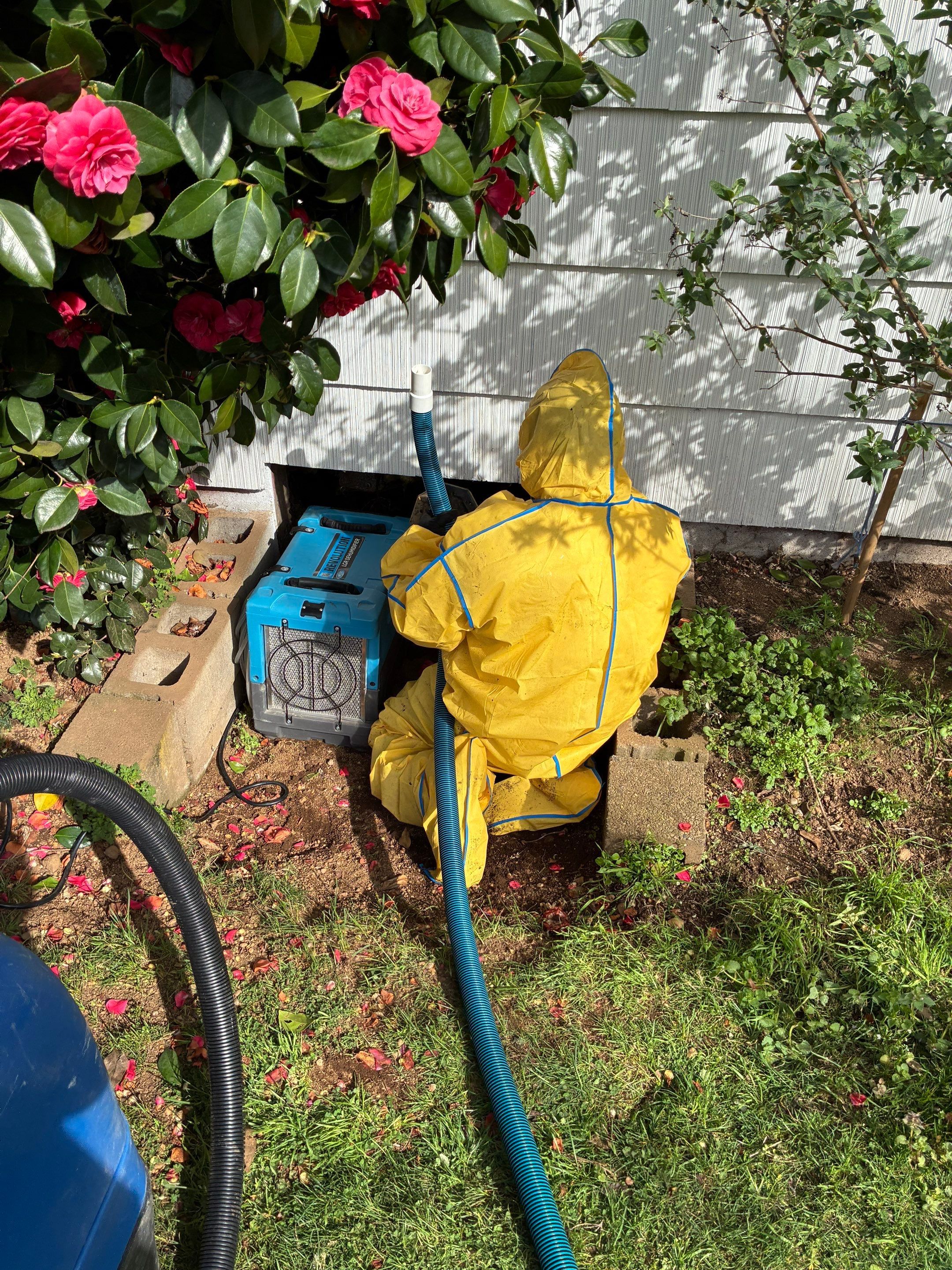 Blog post 🚨 24/7 Emergency Water Damage Restoration in Vancouver, WA & Surrounding Areas image