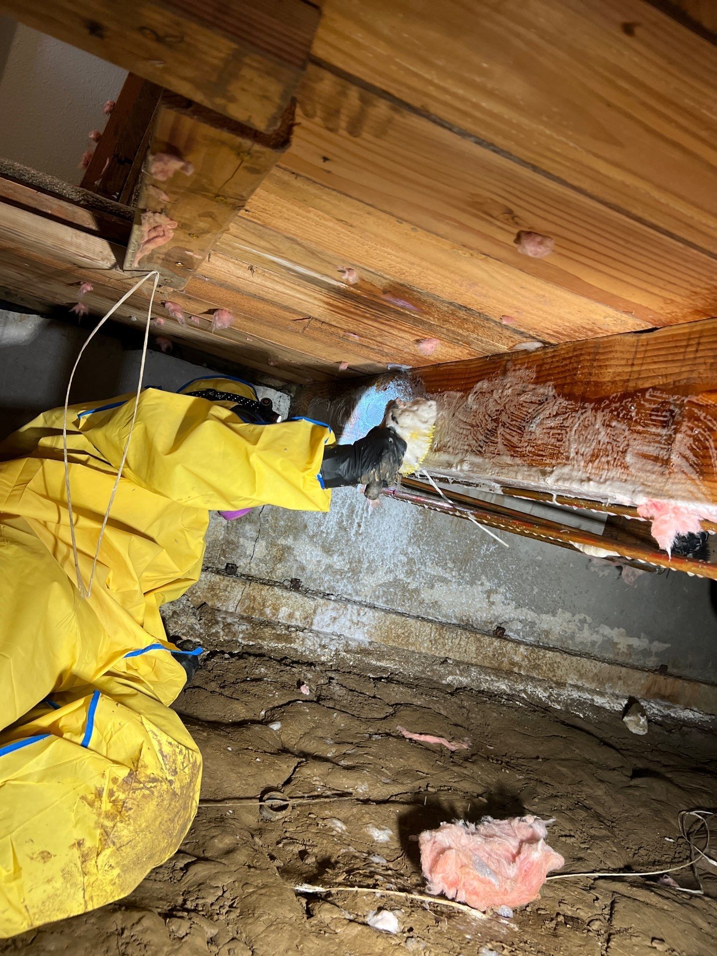 Blog post Water Damage Restoration Longview WA & Kelso WA | Common Issues, Costs & What Homeowners Should Do image