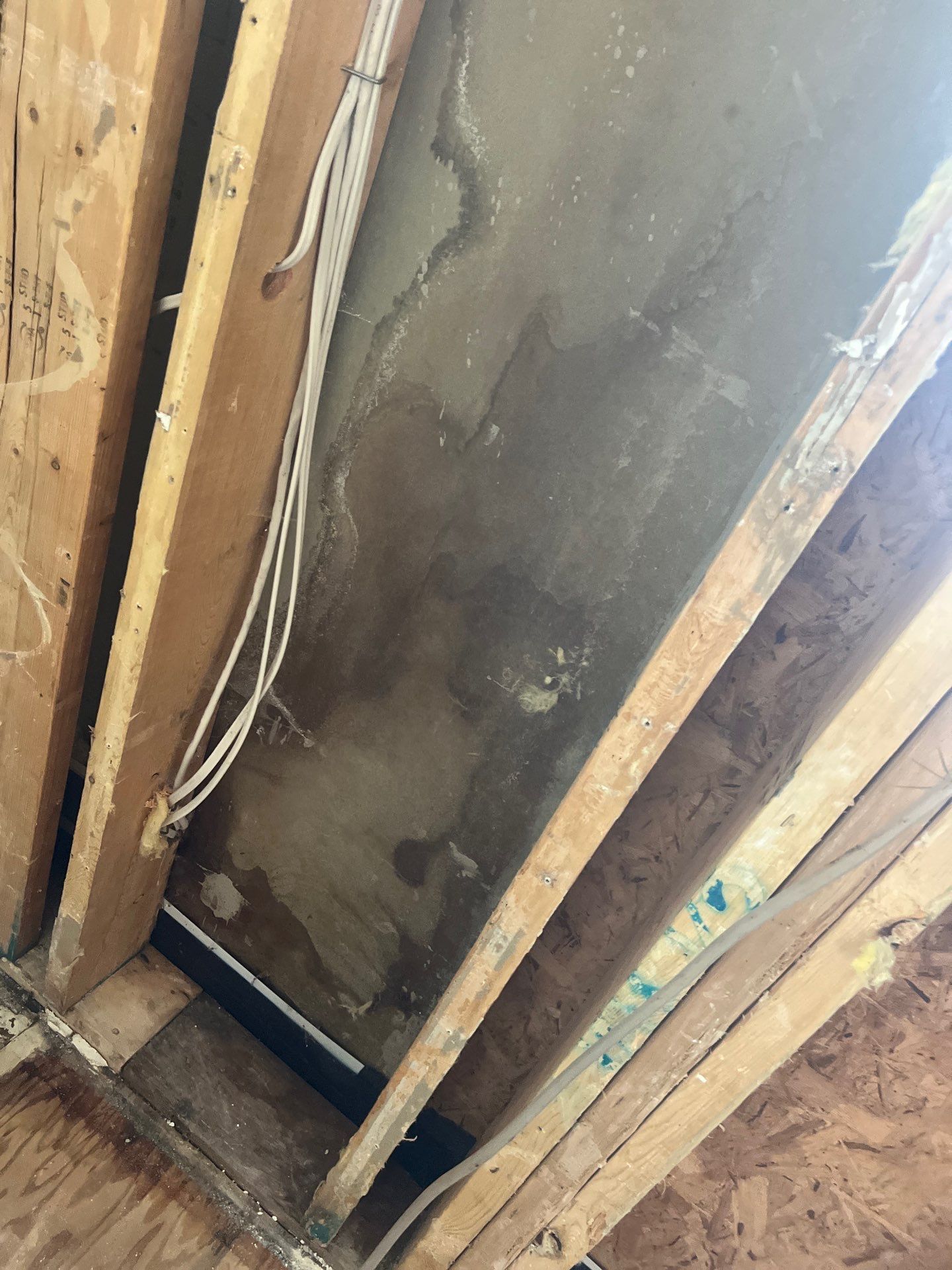 Blog post Clark County WA Water Damage Restoration Services | Emergency Cleanup, Drying & Full Rebuild image