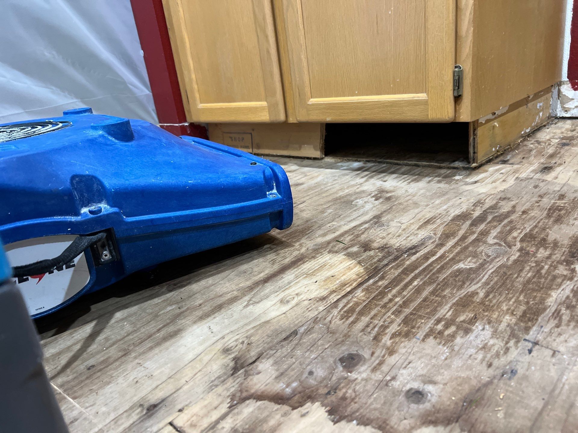 Blog post Water Damage Restoration Near Me – Emergency Flood Cleanup & Drying Services Near You image