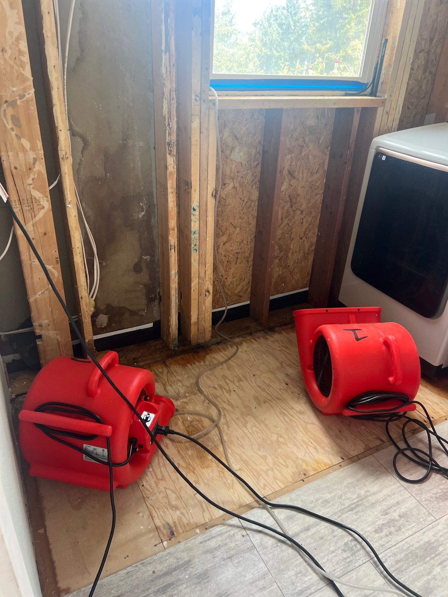 Roof Leak Water Damage - What It Really Looks Like Inside Your Walls