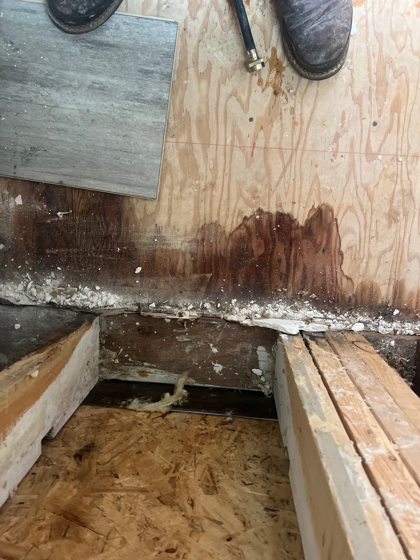 Roof Leak Water Damage - What It Really Looks Like Inside Your Walls