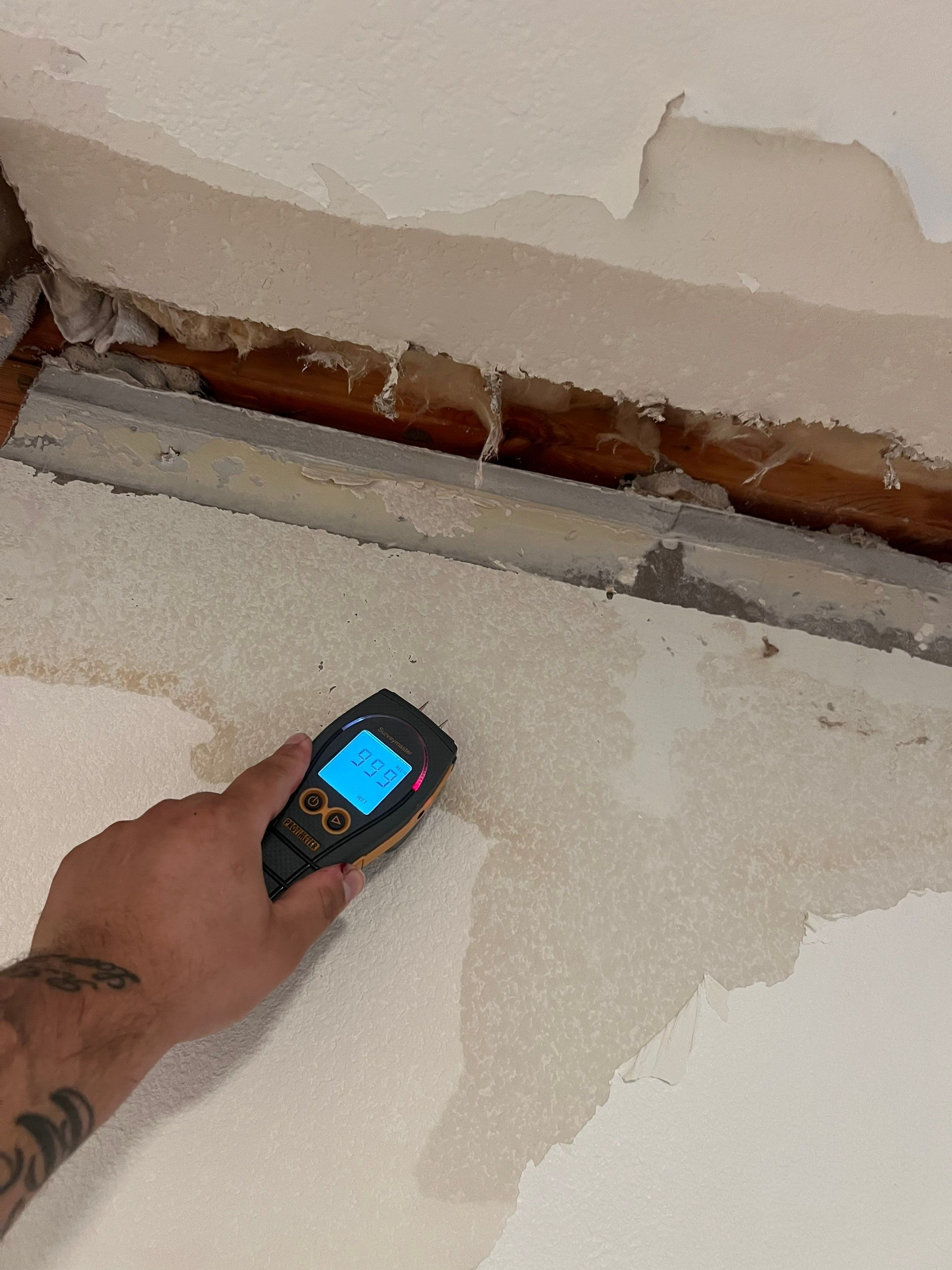 Rapid Response to Water Damage in Washougal WA