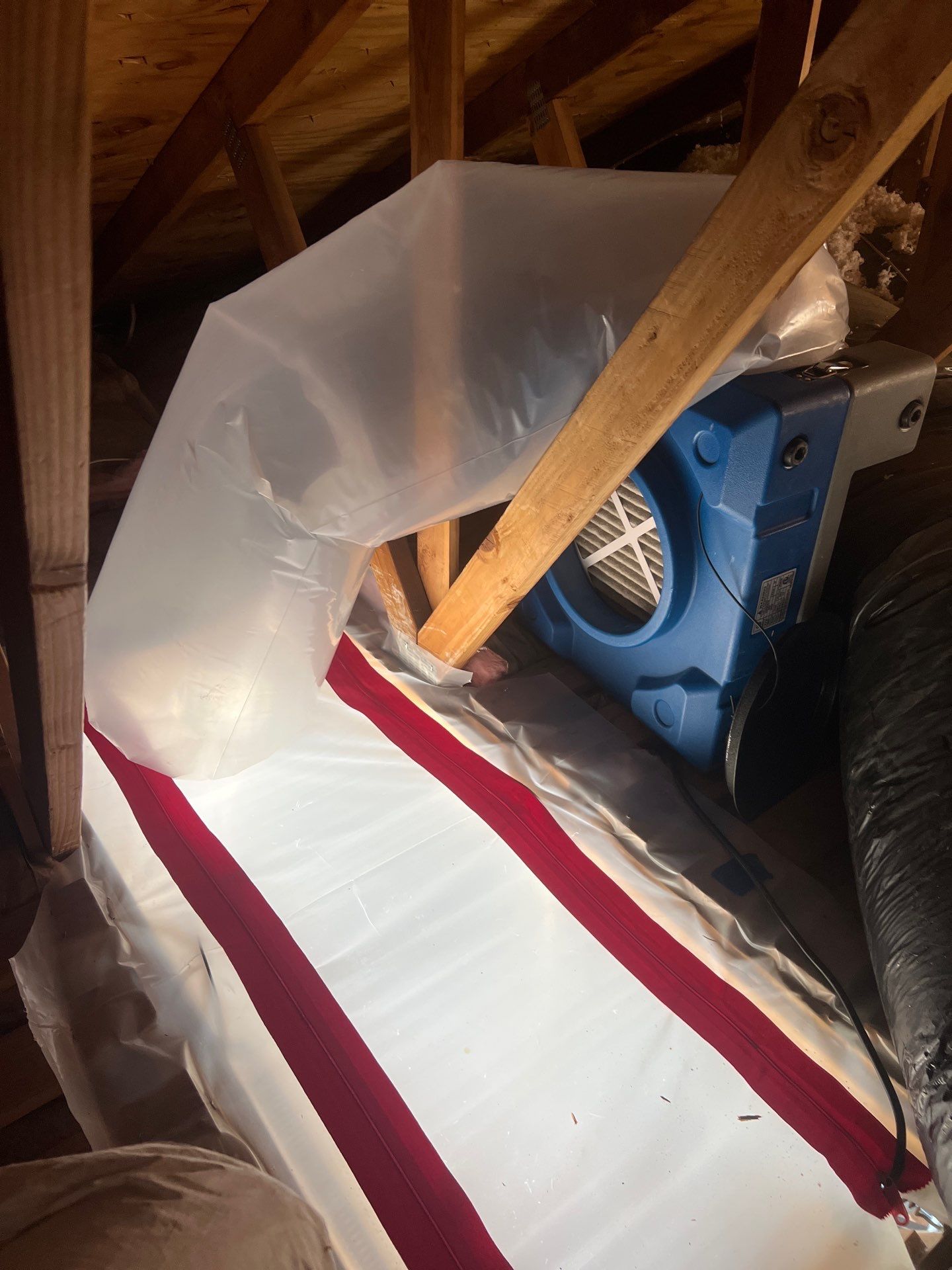 Attic Mold Remediation Done Right in Vancouver WA