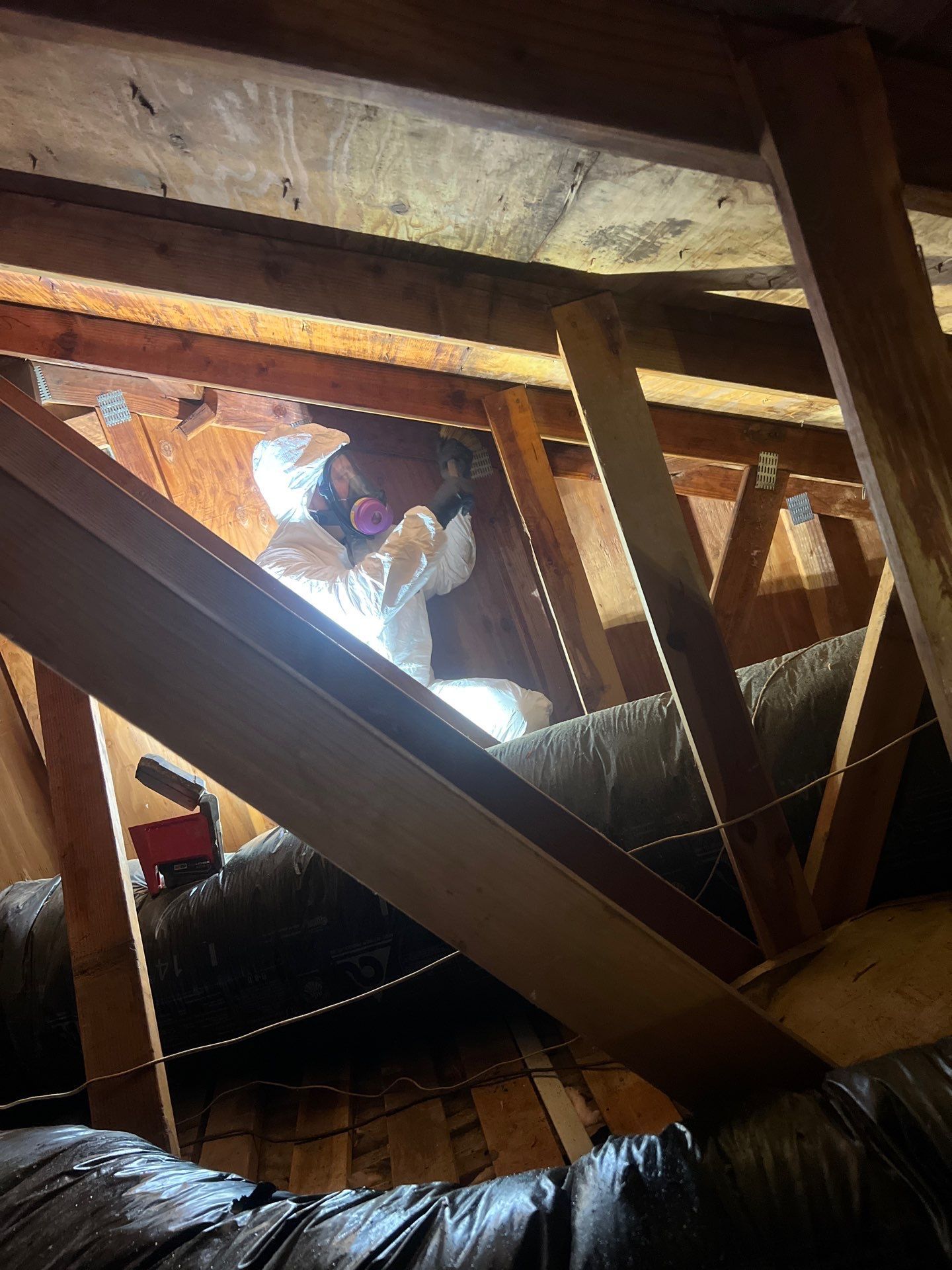 Attic Mold Remediation Done Right in Vancouver WA