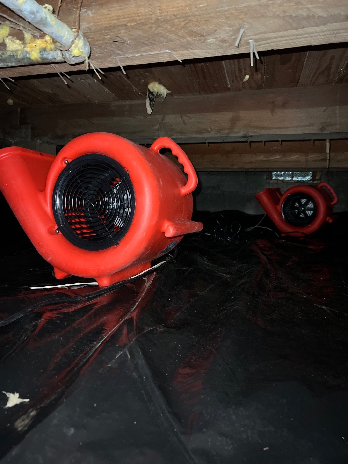 Efficient Crawl Space Water Damage Restoration in Vancouver